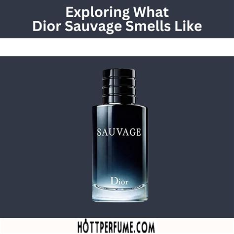 basenotes dior eau sauvage|dior sauvage smells like.